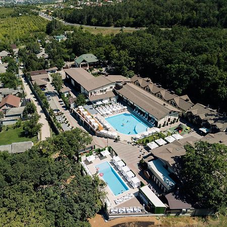 Hotel Complex Turistic Codru Selistea Zewnętrze zdjęcie