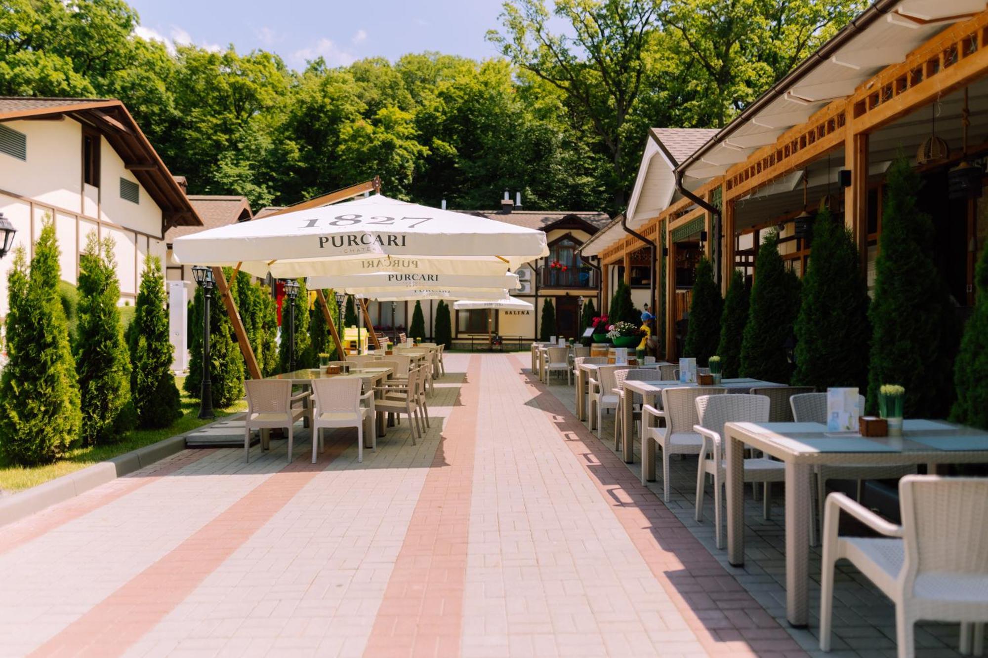 Hotel Complex Turistic Codru Selistea Zewnętrze zdjęcie